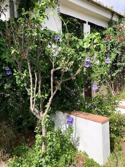 奥尔希瓦Alpujarra Garden Oasis别墅 0*, 奥尔希瓦